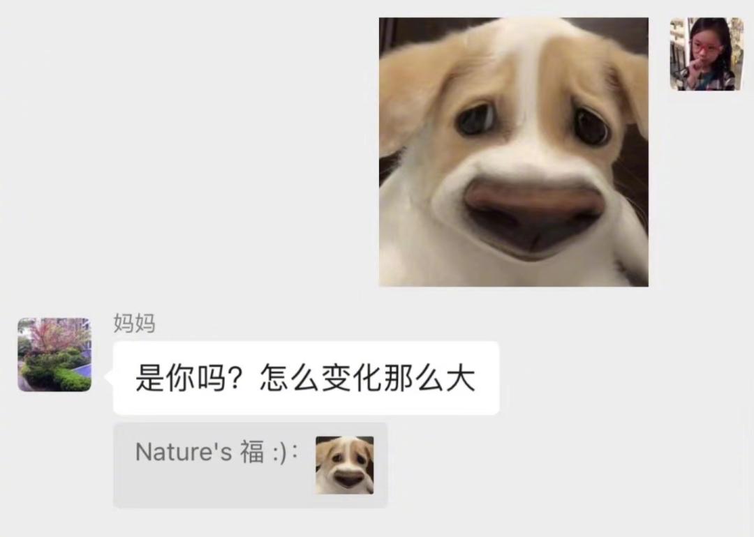 DƬ